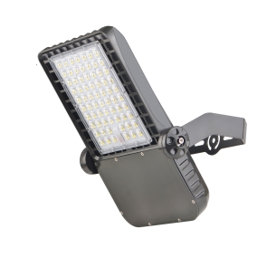 100w Led Flood Light 5000k 13000lm With U Bracket Mounting 14.jpg